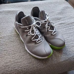 Lebron xiv Low, Gray, worn once